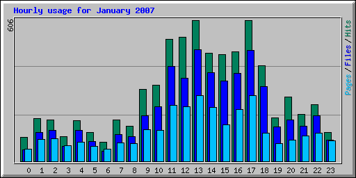 Hourly usage for January 2007